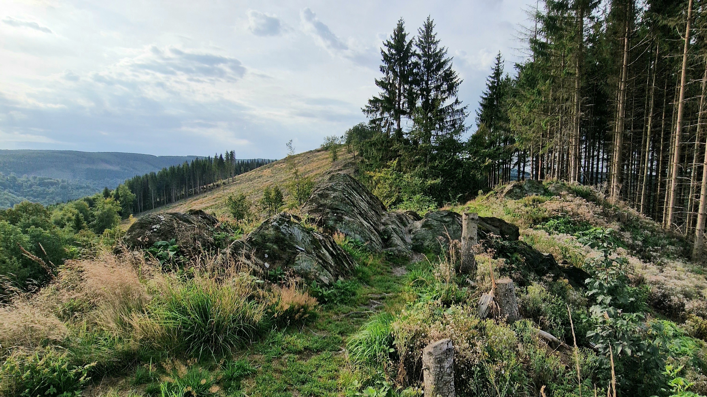 Briloner Gratwanderung