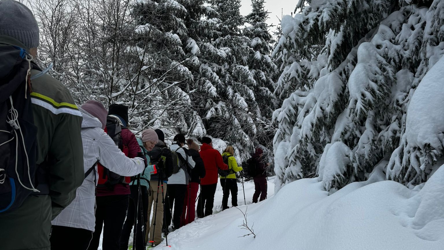 Schneeschuh Wanderung