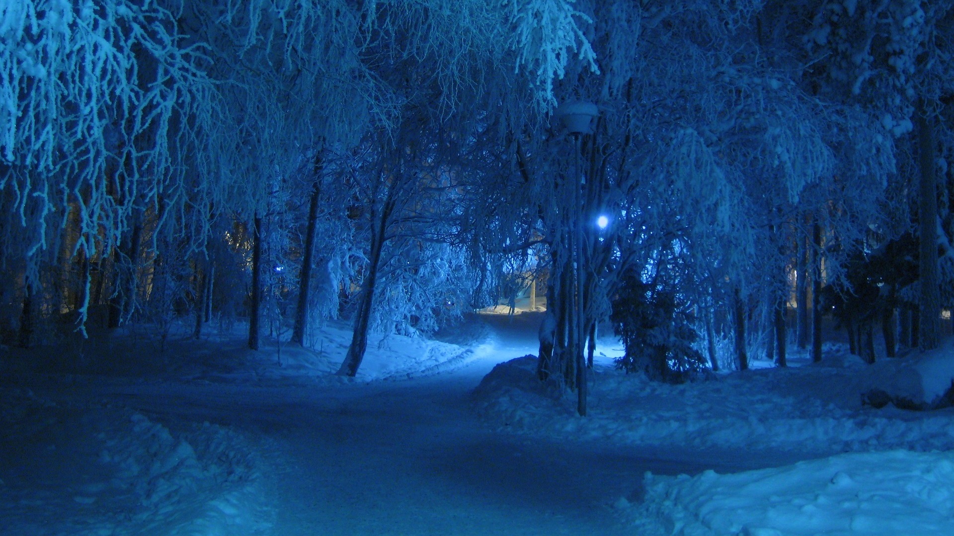 Schneeschuhwanderung bei Nacht