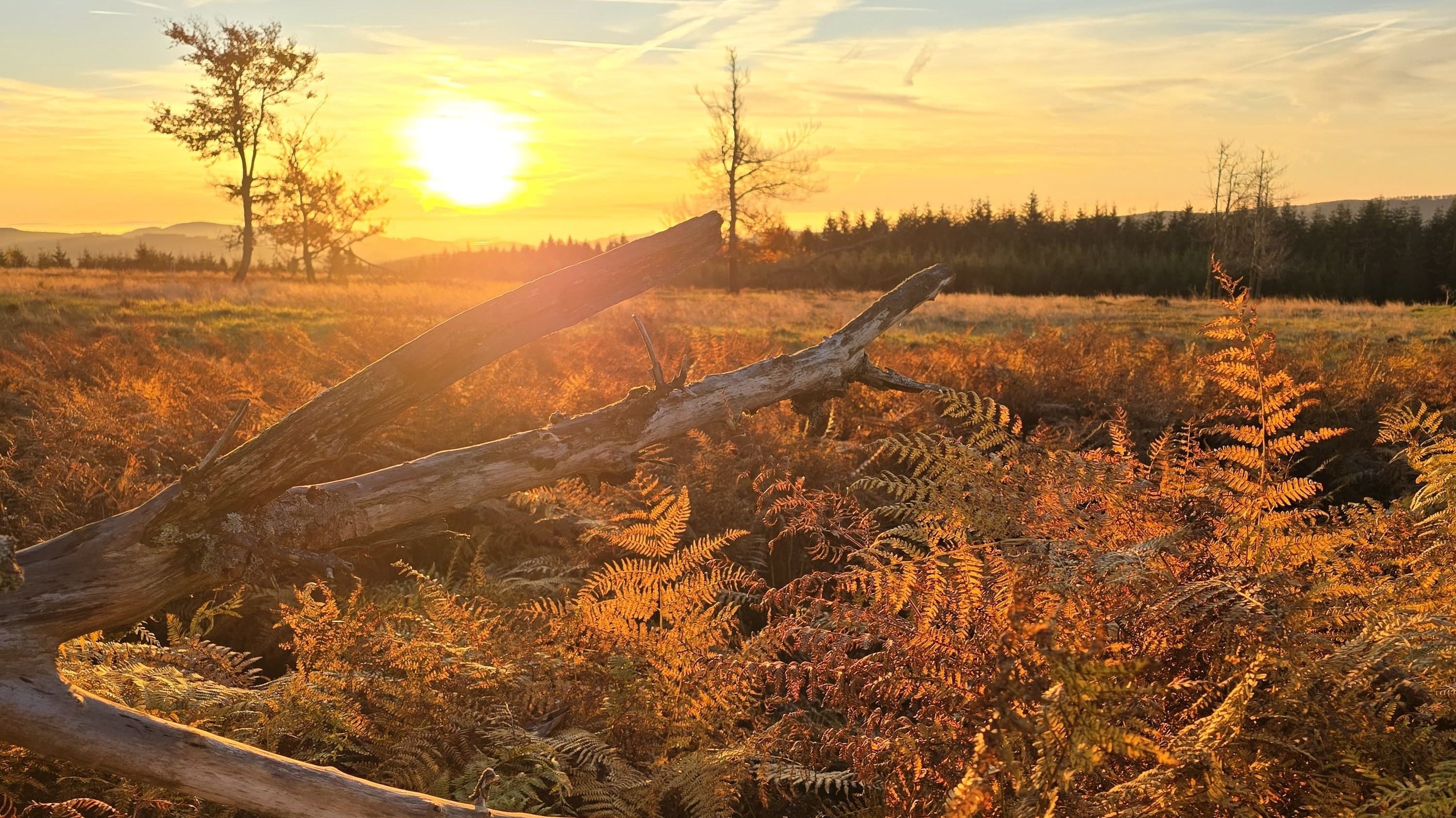Trekking Adventure Sauerland-Waldroute